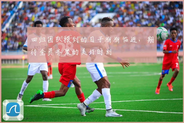 回归团队报到的日子渐渐临近，期待全员齐聚的美好时刻