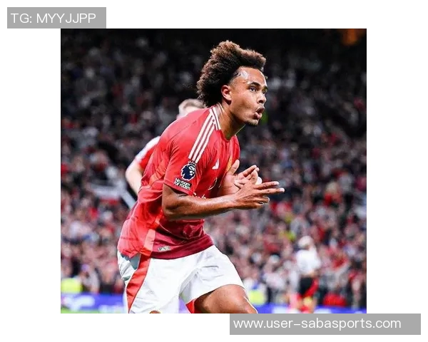 曼联冬窗或外租齐尔克泽埃弗顿西汉姆帕尔马等队争抢